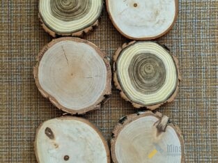 Комплект торцевых срезов дерева
